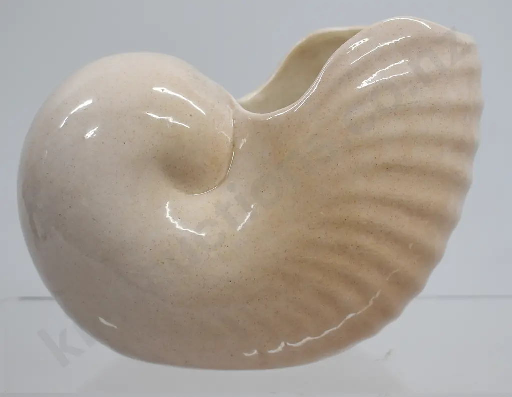 O C STEPHENS DUNEDIN NAUTILUS POSY VASES Image 1++