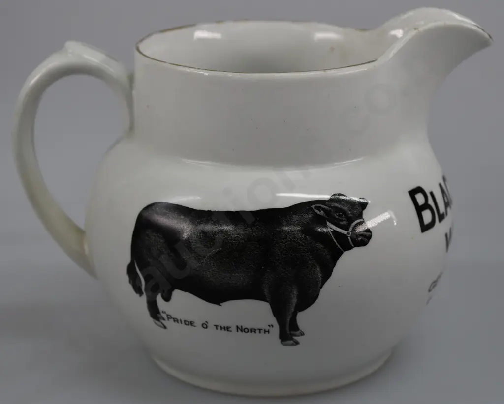 BLACK BULL WHISKY WATER JUG Image 1++