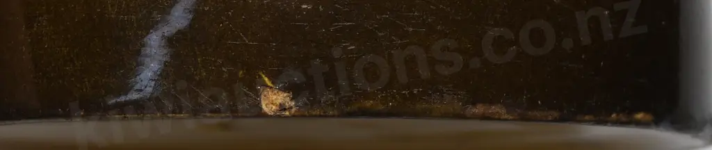 WATSON'S No 10 ADVERTISING WATER JUG Image 1++