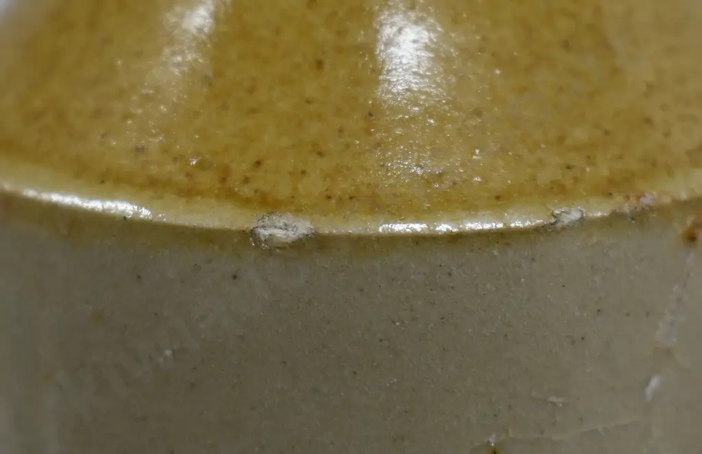 BRODIE WELLINGTON GINGER BEER Image 1++