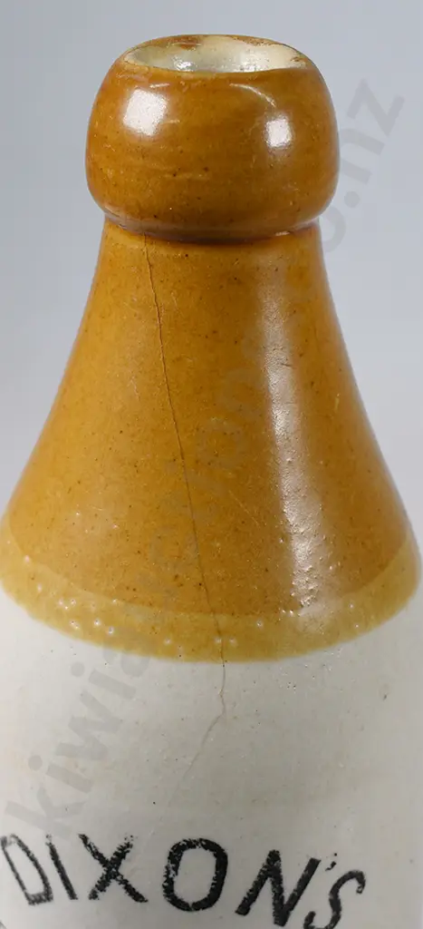 DIXON'S PALMERSTON NORTH GINGER BEER Image 1++
