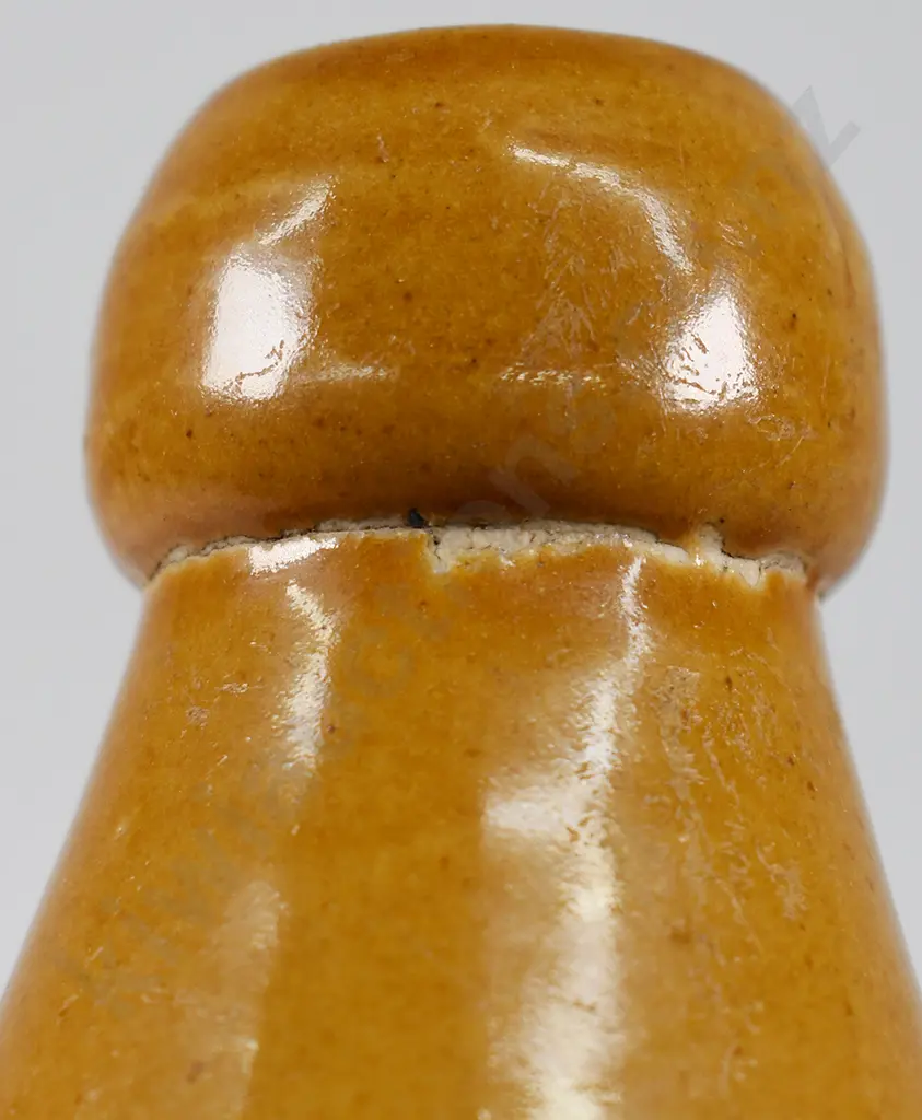 DIXON'S PALMERSTON NORTH GINGER BEER Image 1++
