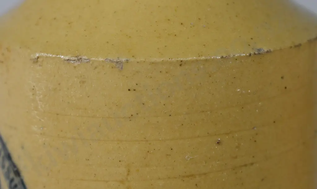 DODSON NELSON GINGER BEER Image 1++