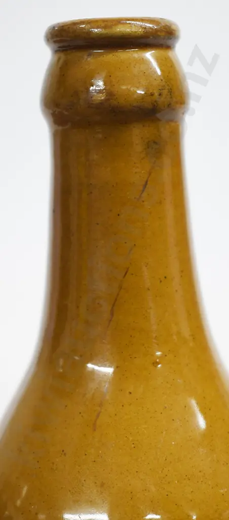 DODSON NELSON GINGER BEER Image 1++