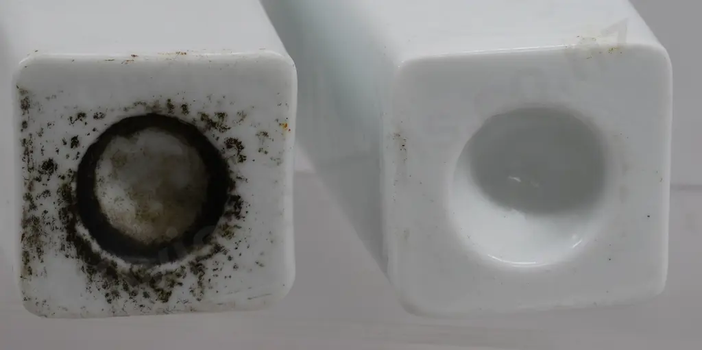 HARTWIG KANTOROWICZ MILK GLASS Image 1++