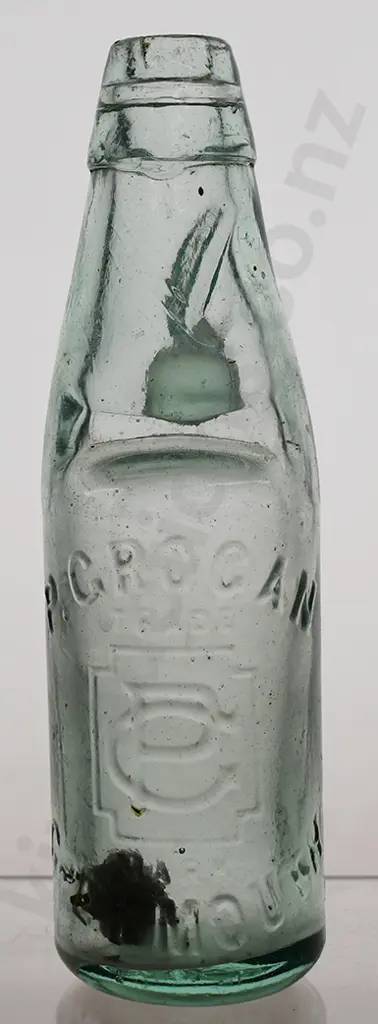 GROGAN GREYMOUTH CODD Image 1++