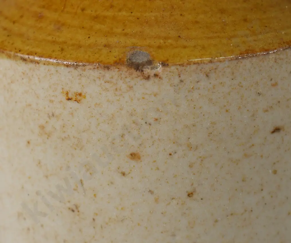 GREY AUCKLAND GINGER BEER Image 1++