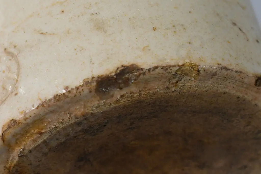 GREY AUCKLAND GINGER BEER Image 1++