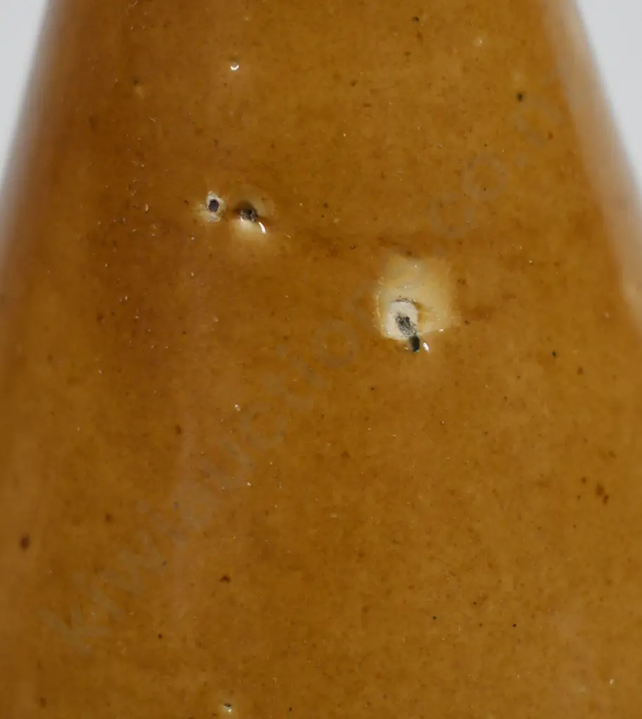 HUIA DANNEVIRKE & MASTERTON GINGER BEER Image 1++