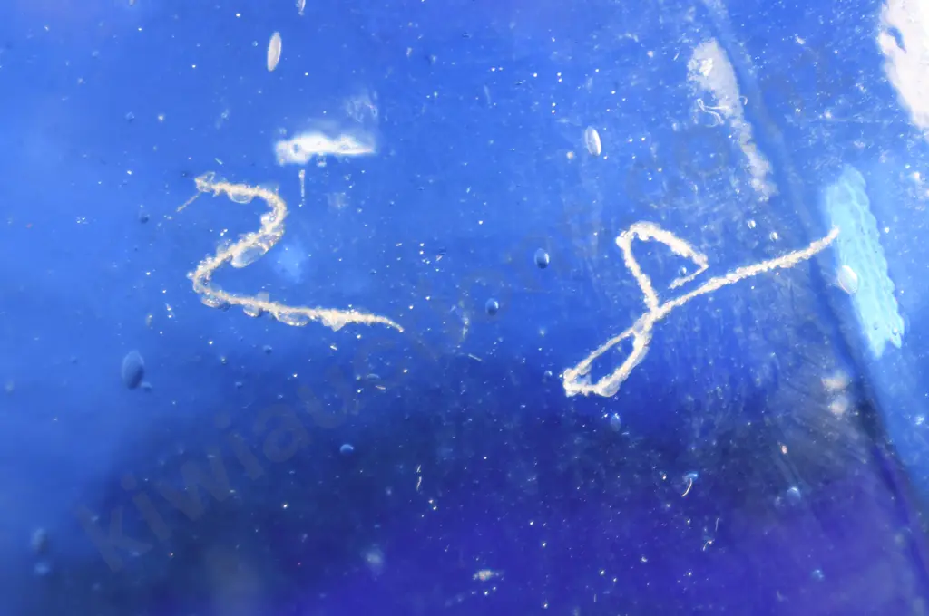 COBALT BLUE PETER X 2 Image 1++