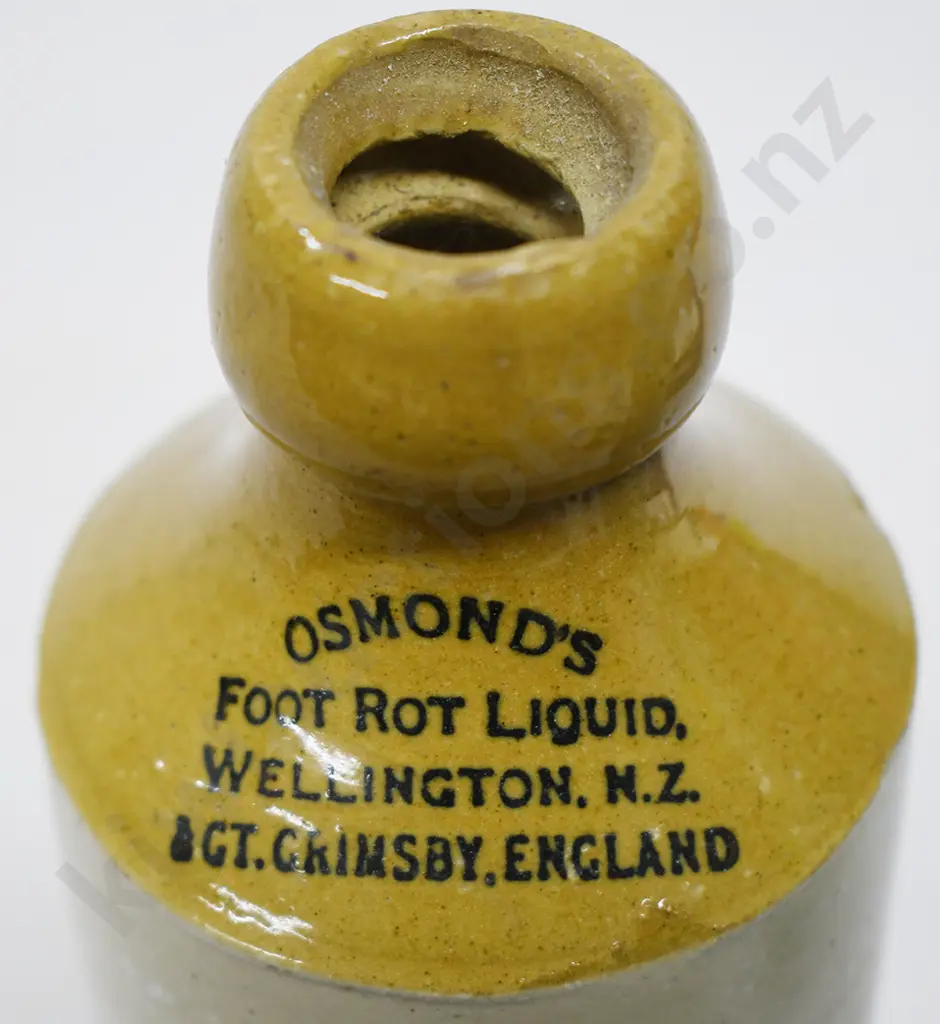 OSMOND'S FOOT ROT LIQUID WELLINGTON Image 1++