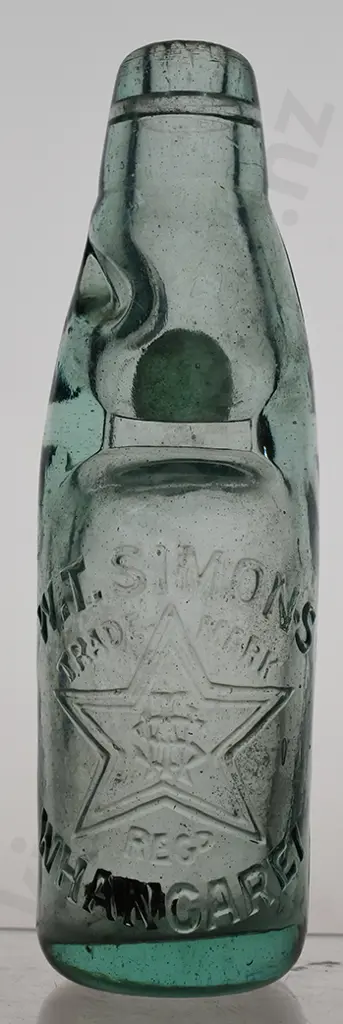 SIMONS WHANGAREI CODD Image 1++