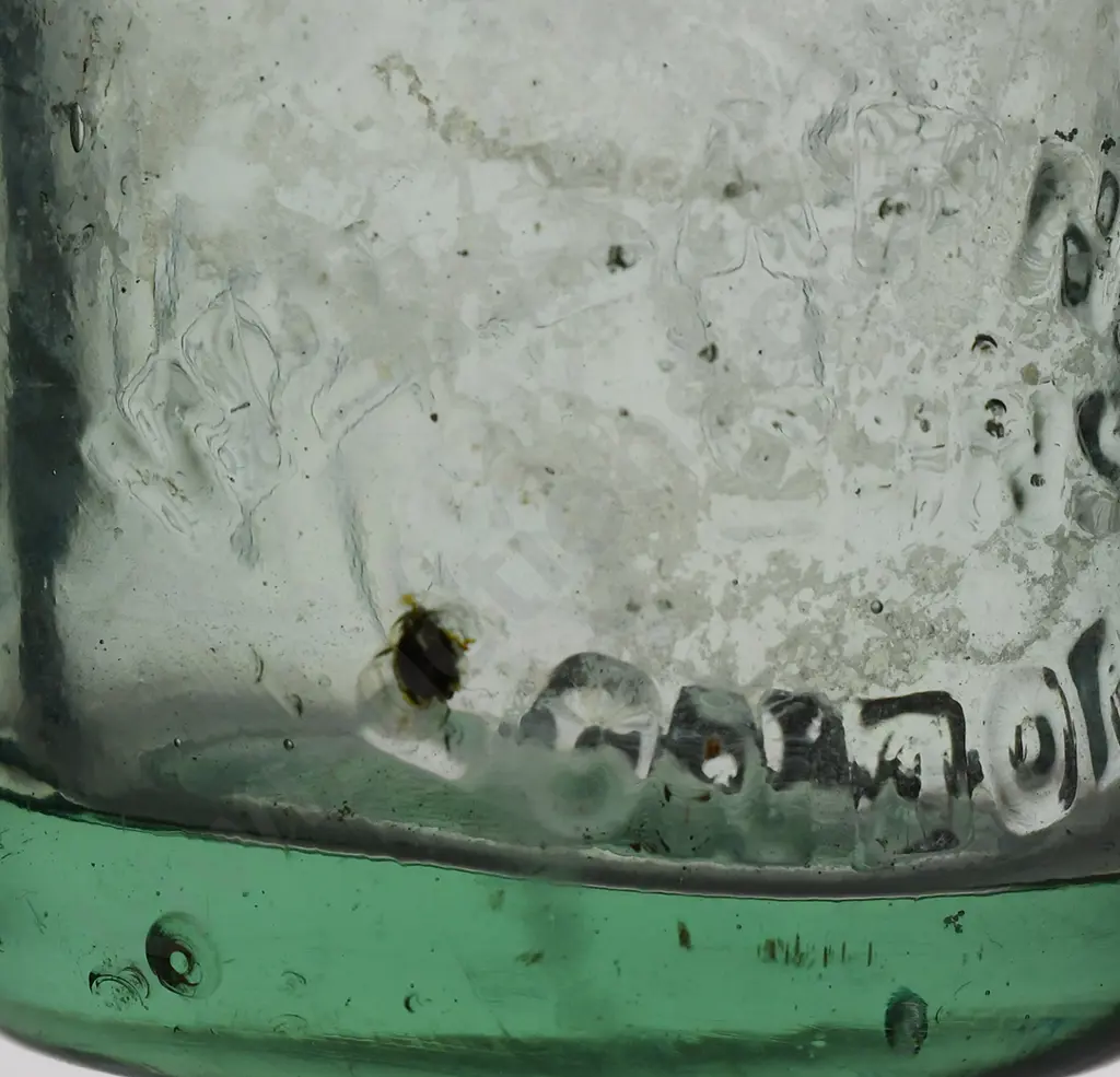 THOMAS ROTORUA CODD Image 1++