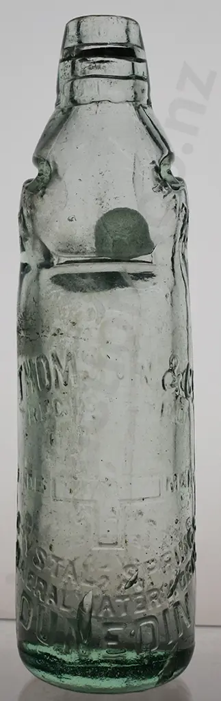 THOMSON DUNEDIN RELIANCE CODD Image 1++