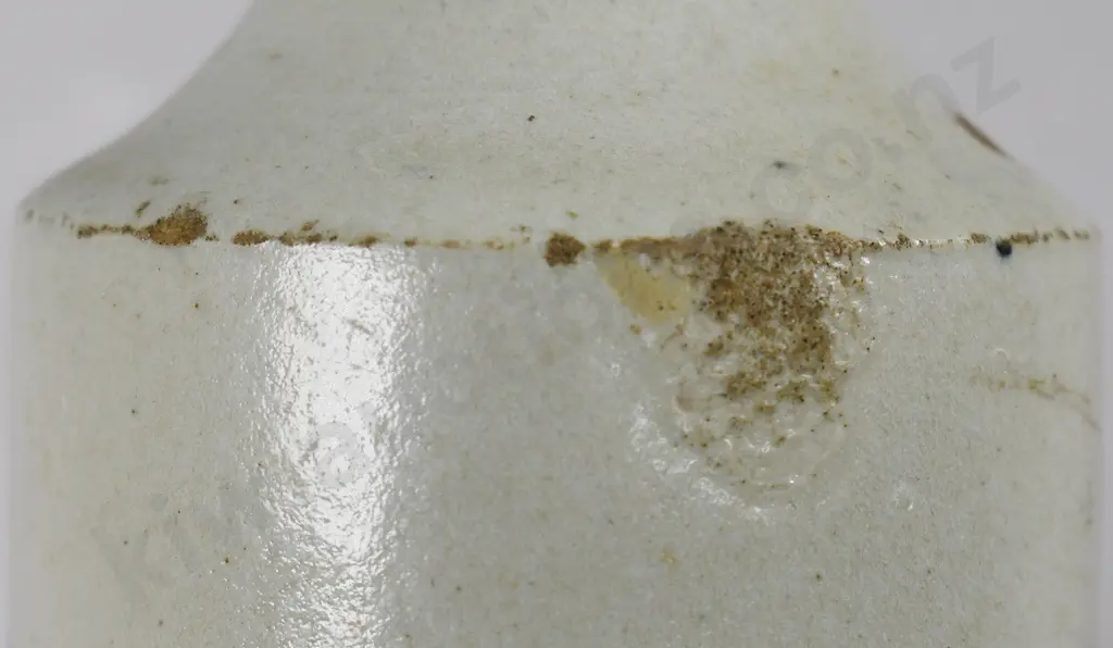 GIFFORD PLOWMAN NAPIER GINGER BEER Image 1++