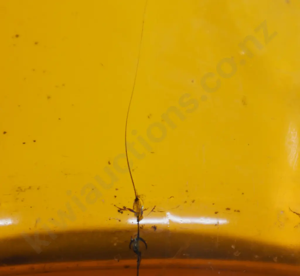 AUCKLAND AMBER MILK BOTTLES Image 1++