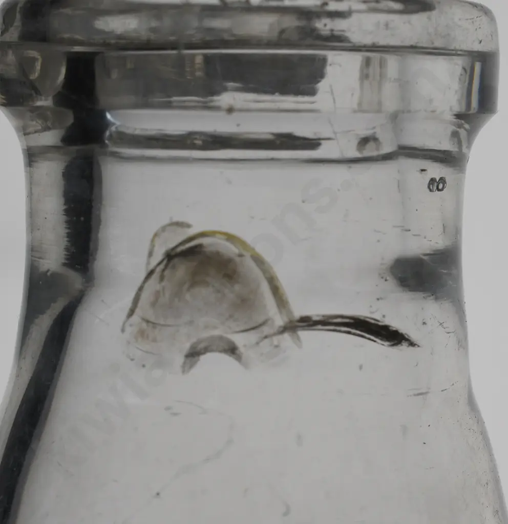WANGANUI MILK BOTTLES Image 1++