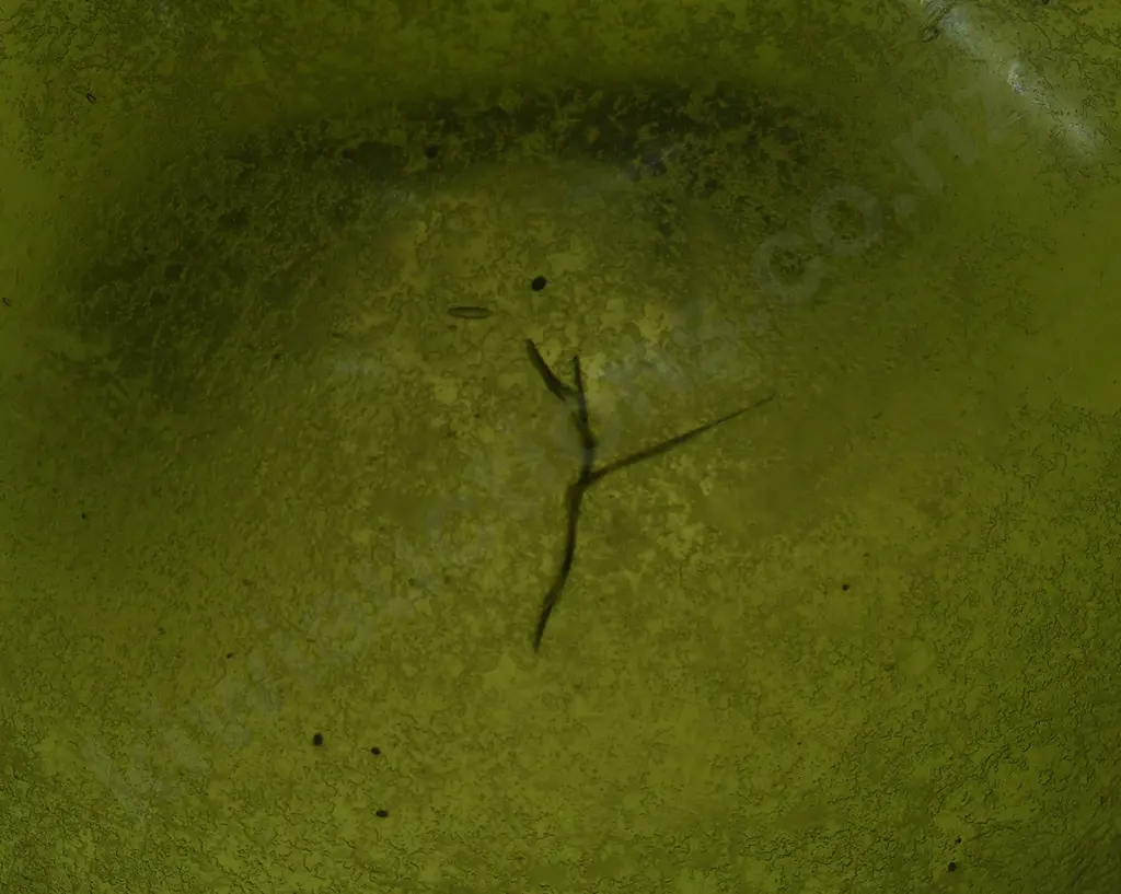 ONION FREE BLOWN BOTTLE Image 1++