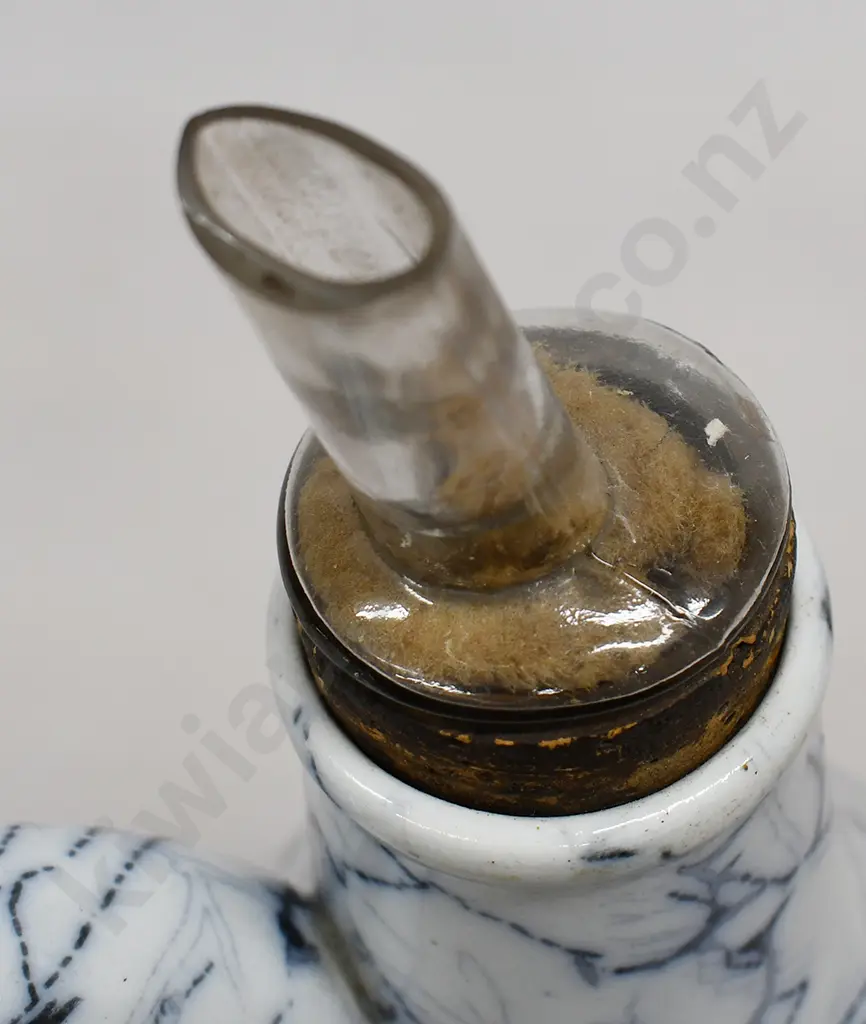 DR NELSONS IMPROVED INHALER Image 1++