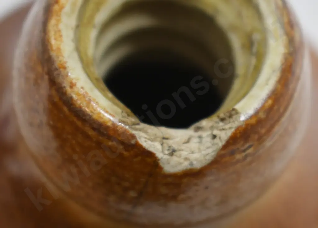 SOUTH AFRICAN GINGER BEERS Image 1++