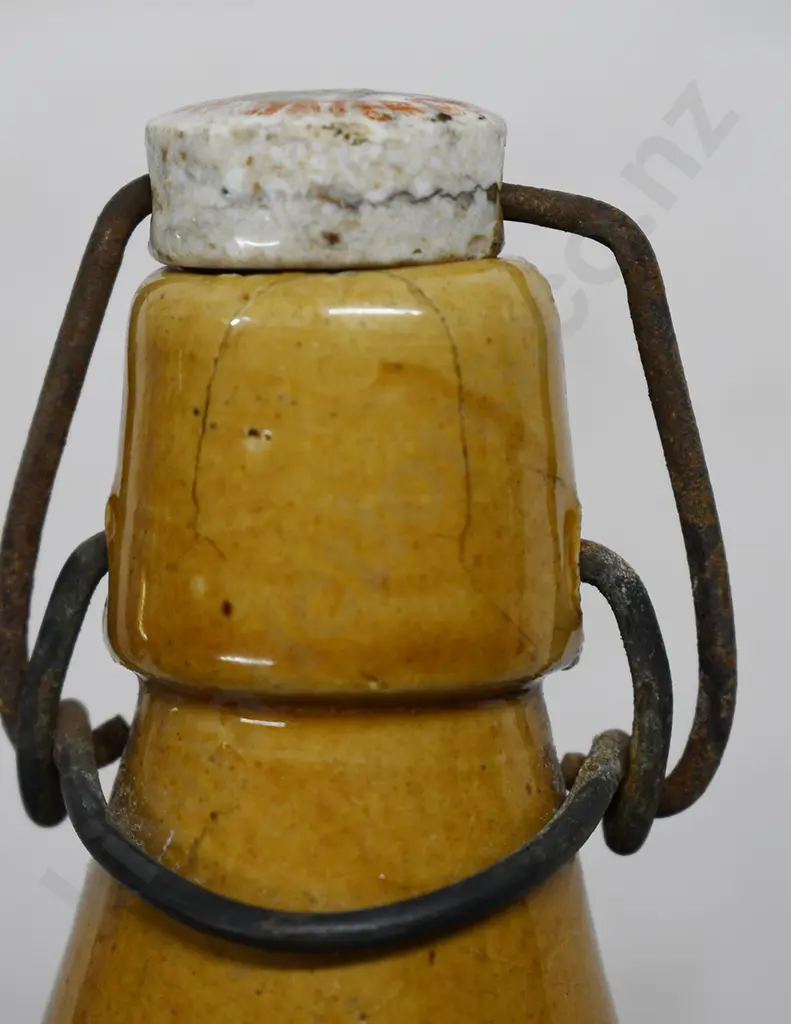 SOUTH AFRICAN GINGER BEERS Image 1++