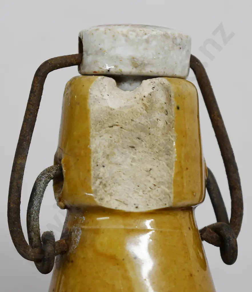 SOUTH AFRICAN GINGER BEERS Image 1++