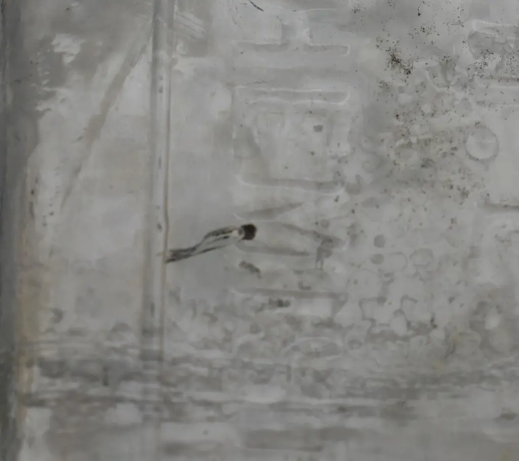 SOUTHLAND CHEMISTS Image 1++