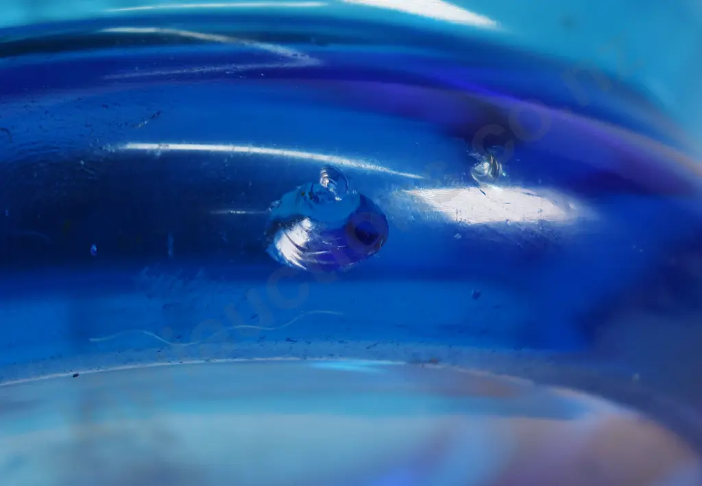 COLLIE BLENHEIM BLUE SYPHON Image 1++