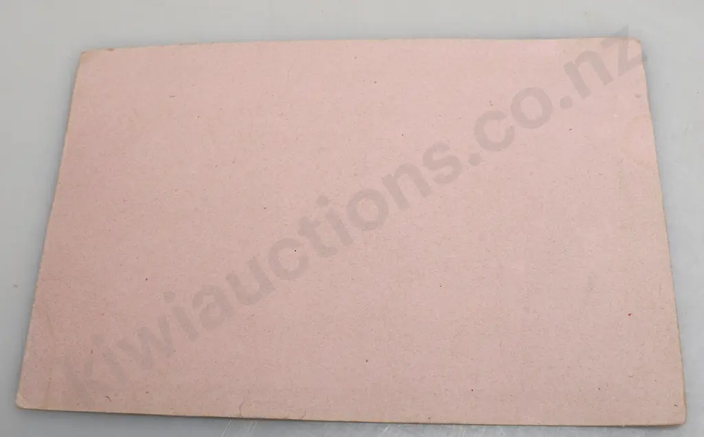 DUNEDIN SAVINGS BANK BLOTTERS Image 1++