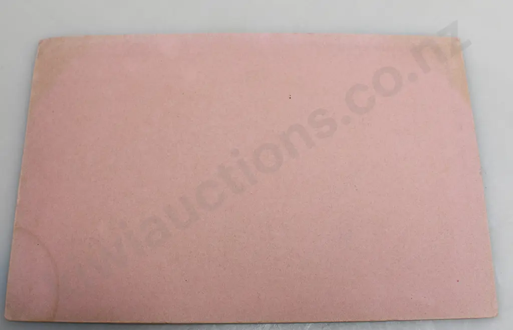 DUNEDIN SAVINGS BANK BLOTTERS Image 1++