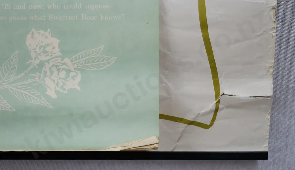 1919 ADVERTISING CALENDARS, TIMARU & RANGIORA Image 1++