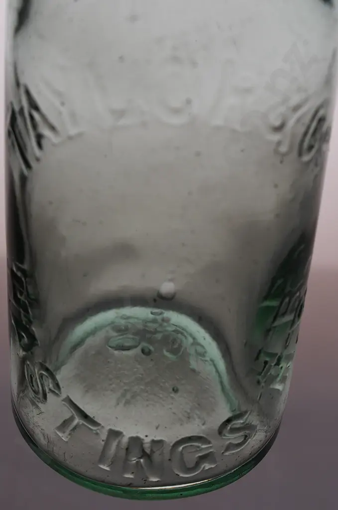 TAYLOR & CO HASTINGS INDIAN BITTERS Image 1++