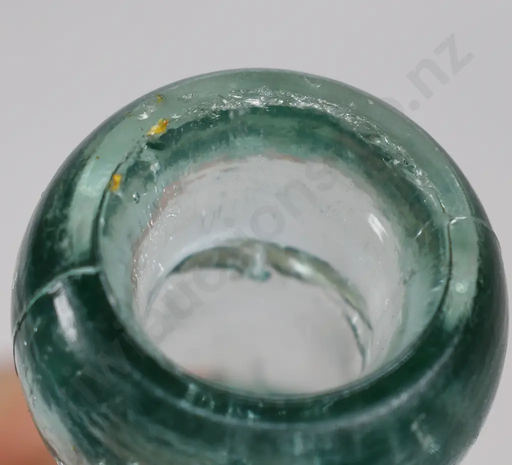 KIA-ORA AUCKLAND SKITTLE Image 1++