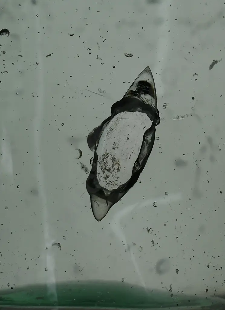 GREY AUCKLAND HOGBEN Image 1++