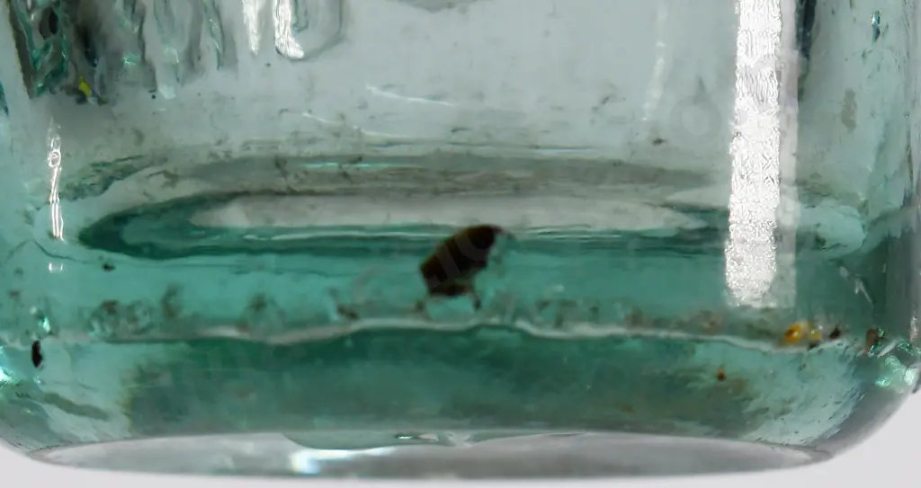 PURDIE DUNEDIN CODD Image 1++