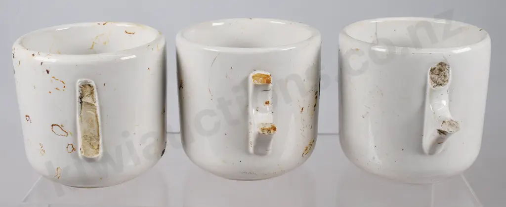 TEMUKA WARE NZR CUPS A/F Image 1++