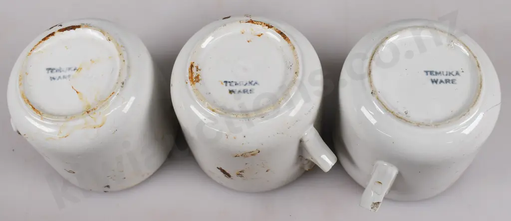 TEMUKA WARE NZR CUPS A/F Image 1++