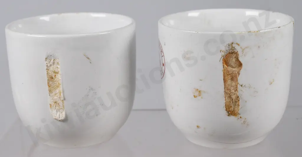 PAEKAKARIKI RAILWAY REFRESHMENT ROOMS CUP Image 1++