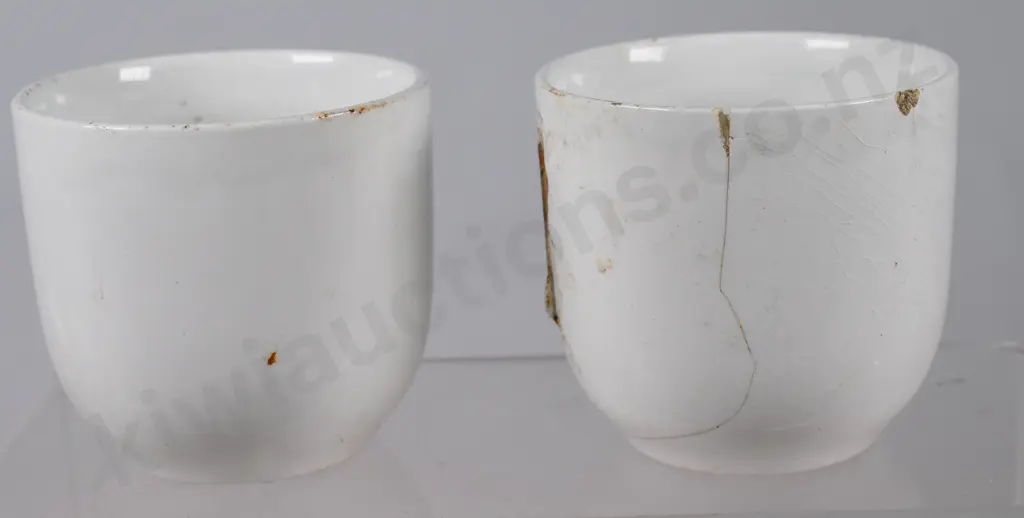 PAEKAKARIKI RAILWAY REFRESHMENT ROOMS CUP Image 1++