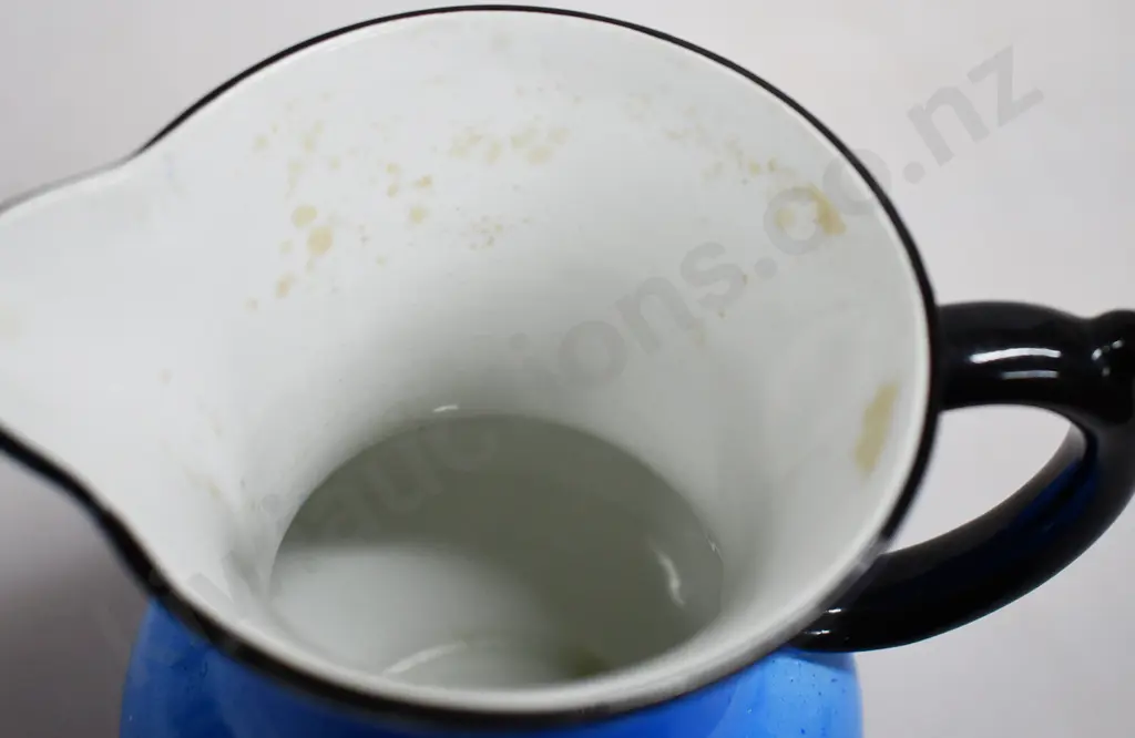 JOHN BEGG WHISKY JUG Image 1++
