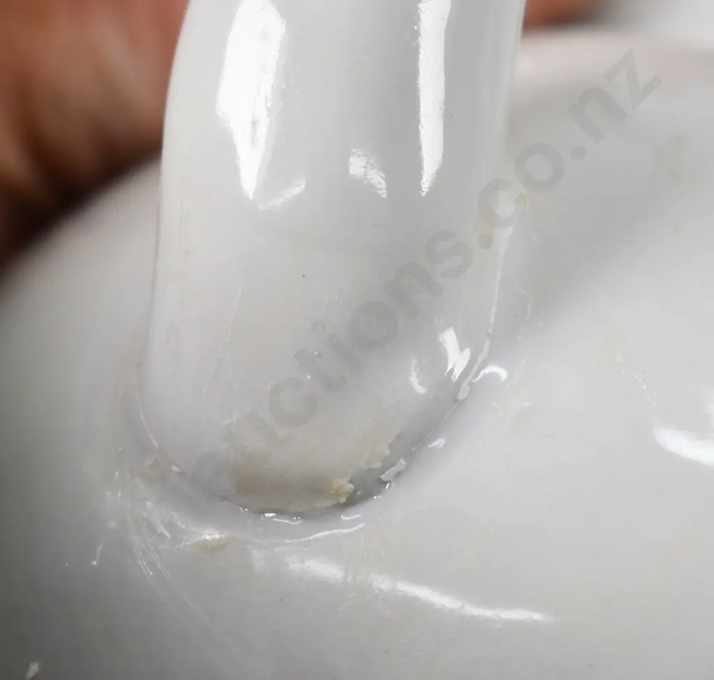 MADAGASCAR PIG JUG Image 1++