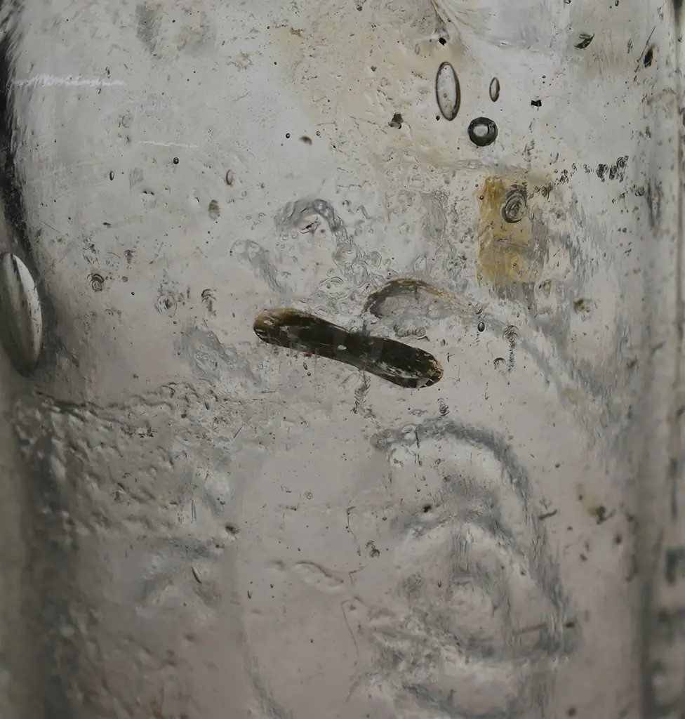 CLARK ROTORUA CODD Image 1++