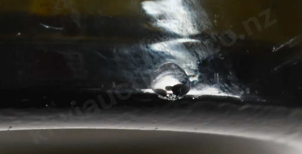GREAT NORTHERN BREWERY AUCKLAND RING SEAL BEER Image 1++
