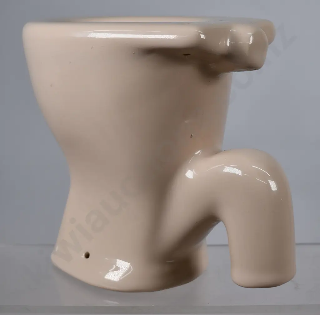 MCSKIMMINGS SAMPLE TOILET Image 1++