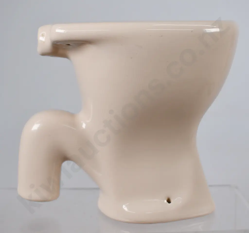 MCSKIMMINGS SAMPLE TOILET Image 1++