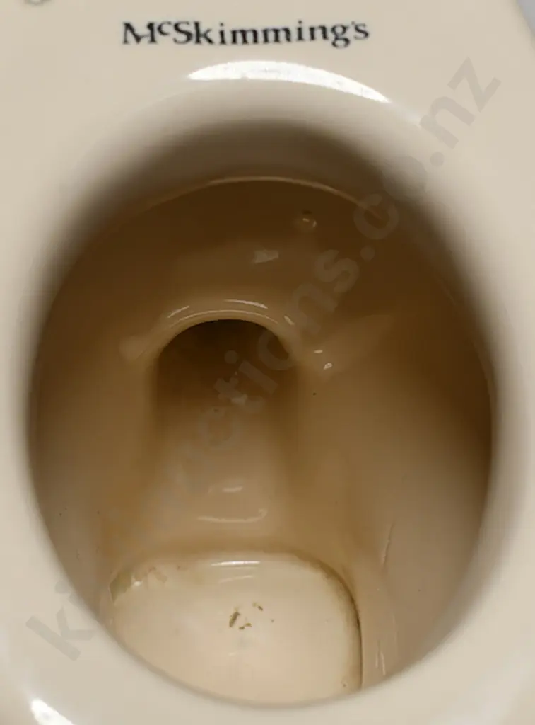MCSKIMMINGS SAMPLE TOILET Image 1++