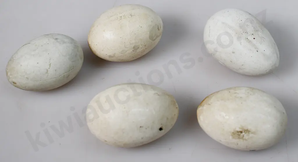 CERAMIC LAYING EGGS Image 1++