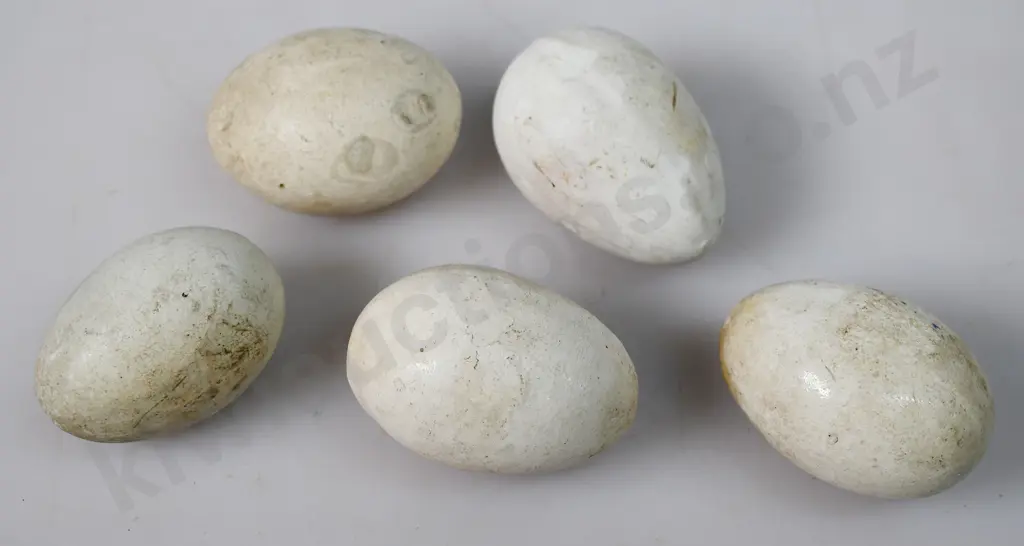CERAMIC LAYING EGGS Image 1++