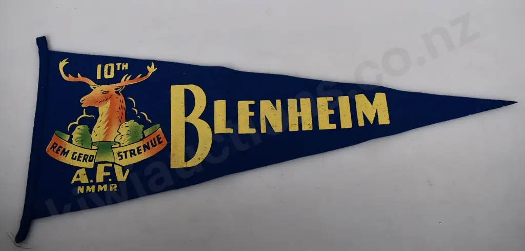 PENNANT FLAG, BLENHEIM Image 1++