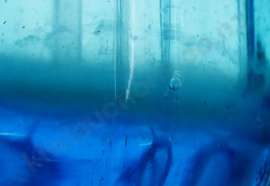 BLACKMORES GREYMOUTH BLUE SODA SYPHON Image 1++